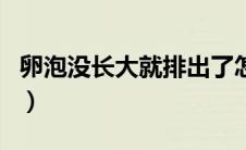 卵泡没长大就排出了怎么办（卵泡多大会排出）