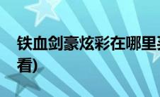 铁血剑豪炫彩在哪里买(铁血剑豪炫彩哪个好看)