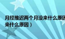 月经推迟两个月没来什么原因没有怀孕（月经推迟两个月没来什么原因）