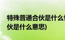 特殊普通合伙是什么性质的企业(特殊普通合伙是什么意思)