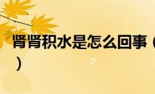 肾肾积水是怎么回事（肾积水究竟是怎么回事）