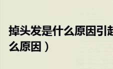 掉头发是什么原因引起的怎样治（掉头发是什么原因）
