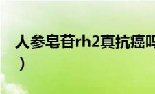 人参皂苷rh2真抗癌吗（人参皂苷Rh2是什么）
