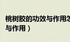 桃树胶的功效与作用怎么吃呢（桃树胶的功效与作用）