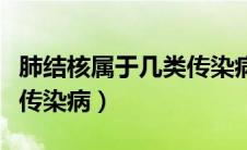 肺结核属于几类传染病名称（肺结核属于几类传染病）
