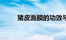 猪皮面膜的功效与作用(猪皮面膜)