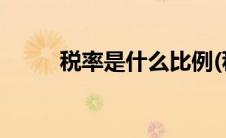 税率是什么比例(税率是什么意思)