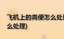 飞机上的粪便怎么处理最好(飞机上的粪便怎么处理)