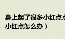身上起了很多小红点点还很痒（身上起了很多小红点怎么办）