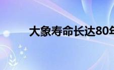 大象寿命长达80年(大象寿命最长)