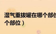 湿气重拔罐在哪个部位图片（湿气重拔罐在哪个部位）