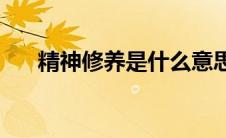 精神修养是什么意思(修养是什么意思)