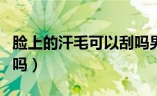 脸上的汗毛可以刮吗男生（脸上的汗毛可以刮吗）
