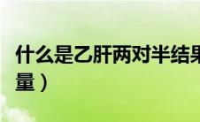 什么是乙肝两对半结果（什么是乙肝两对半定量）
