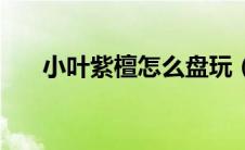 小叶紫檀怎么盘玩（如何盘小叶紫檀）