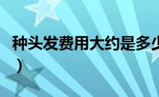 种头发费用大约是多少（种头发费用大概多少）