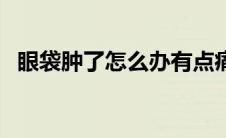 眼袋肿了怎么办有点痛（眼袋肿了怎么办）