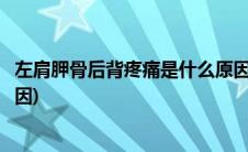 左肩胛骨后背疼痛是什么原因啊(左肩胛骨后背疼痛是什么原因)