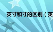 英寸和寸的区别（英寸和寸有什么区别）
