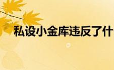 私设小金库违反了什么纪律(私设小金库)