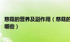 慈菇的营养及副作用（慈菇的营养价值 慈菇的作用与功效有哪些）