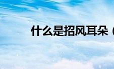 什么是招风耳朵（什么是招风耳）