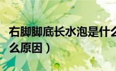 右脚脚底长水泡是什么原因（脚底长水泡是什么原因）