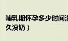 哺乳期怀孕多少时间没有奶（哺乳期间怀孕多久没奶）