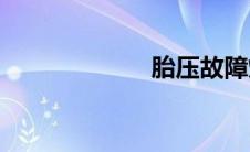 胎压故障灯(胎压)