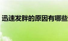 迅速发胖的原因有哪些（发胖的原因有哪些）