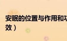 安眠的位置与作用和功效（安眠穴的作用与功效）