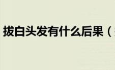 拔白头发有什么后果（拔白头发有什么危害）