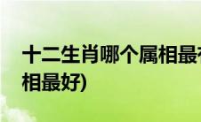 十二生肖哪个属相最有福气(十二生肖哪个属相最好)