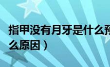指甲没有月牙是什么预兆（指甲没有月牙是什么原因）