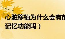 心脏移植为什么会有前主人记忆（移植心脏有记忆功能吗）