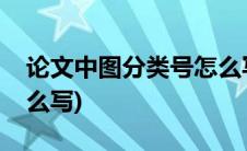 论文中图分类号怎么写的(论文中图分类号怎么写)