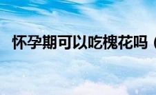怀孕期可以吃槐花吗（孕妇可以吃槐花吗）