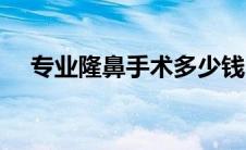 专业隆鼻手术多少钱（隆鼻手术多少钱）