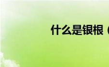 什么是银根（何谓银根）