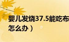 婴儿发烧37.5能吃布洛芬吗（婴儿发烧37.5怎么办）