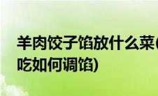 羊肉饺子馅放什么菜(羊肉馅饺子加什么菜好吃如何调馅)