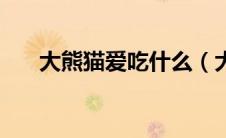大熊猫爱吃什么（大熊猫爱吃的食物）