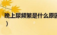 晚上尿频繁是什么原因（晚上尿频繁是为什么）