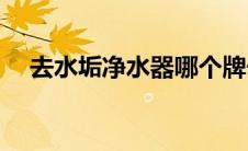 去水垢净水器哪个牌子好(去水垢净水器)