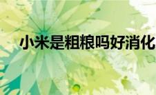小米是粗粮吗好消化吗（小米是粗粮吗）