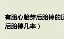 有胎心胎芽后胎停的原因有哪些（有胎心胎芽后胎停几率）