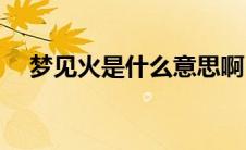 梦见火是什么意思啊(梦见火是什么意思)