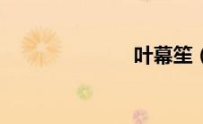 叶幕笙（叶幕）
