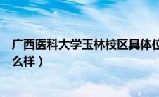 广西医科大学玉林校区具体位置（广西医科大学玉林校区怎么样）