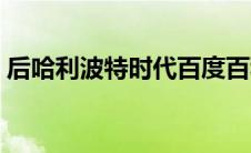 后哈利波特时代百度百科（哈利波特之后裔）